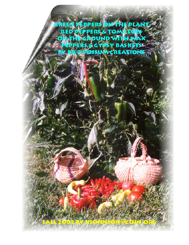 peppers_galore_summer_2002.jpg
