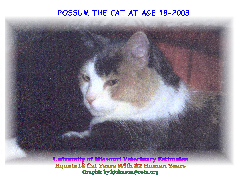 possum_at_18_years.jpg