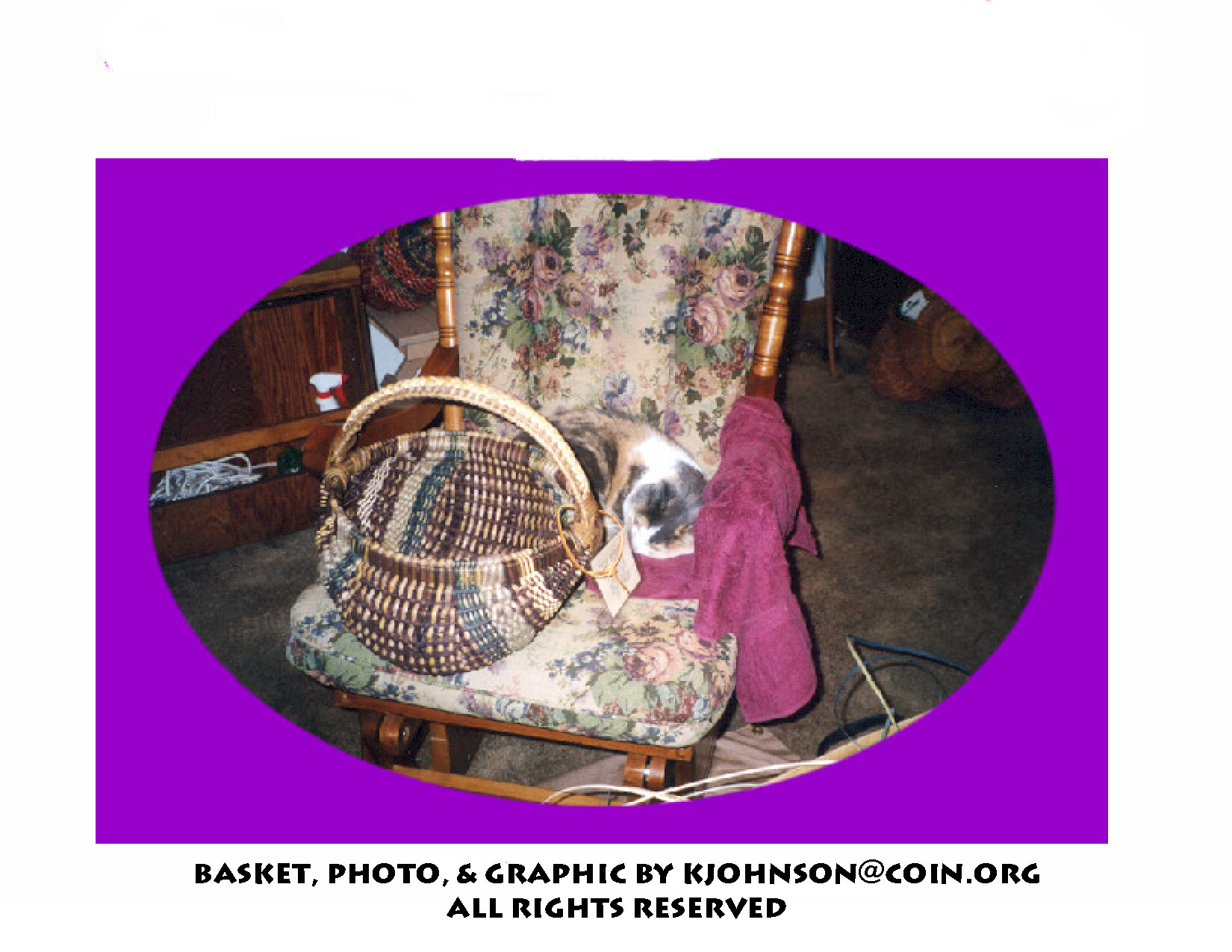 possum_and_basket.jpeg.jpg
